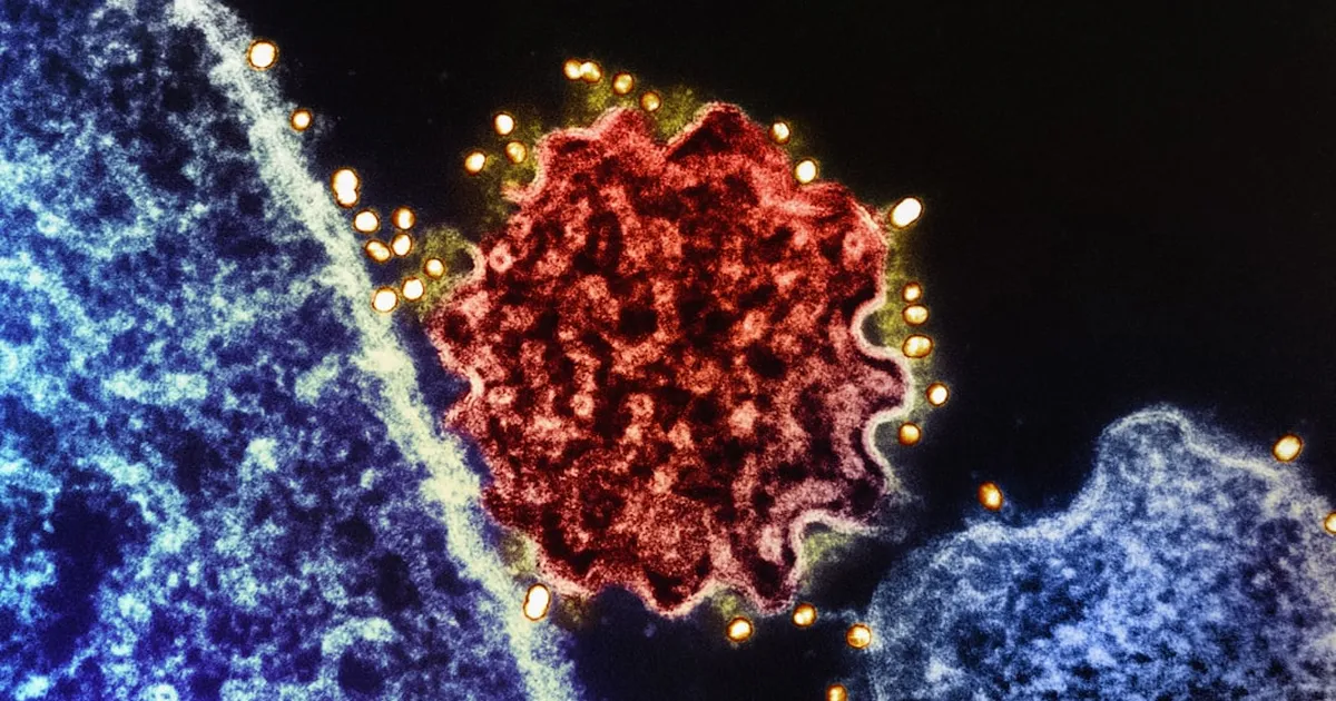 Tumorspritze aktiviert Immunangriff auf Metastasen