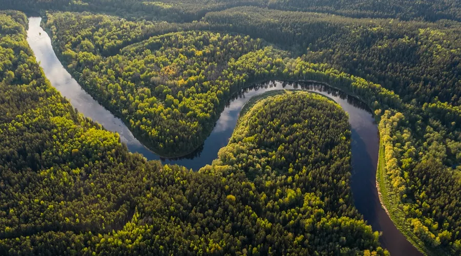 amazonas
