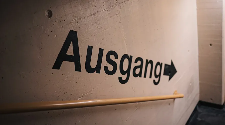 aufforstung