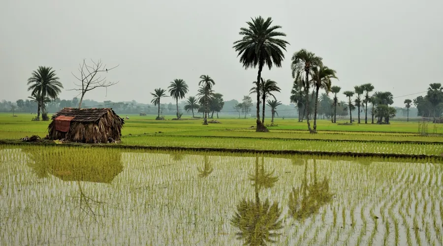 bangladesch