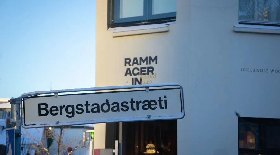 stammzellen
