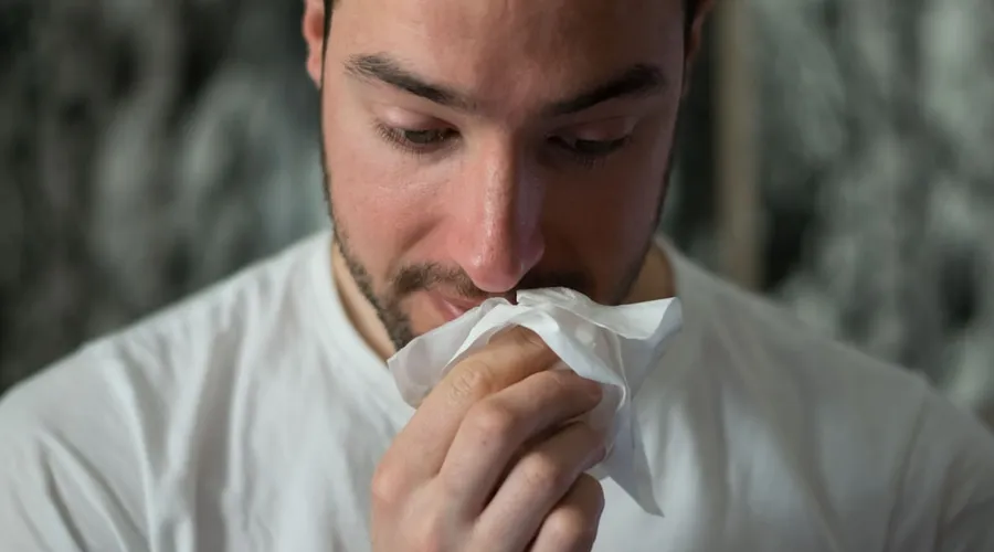 allergie