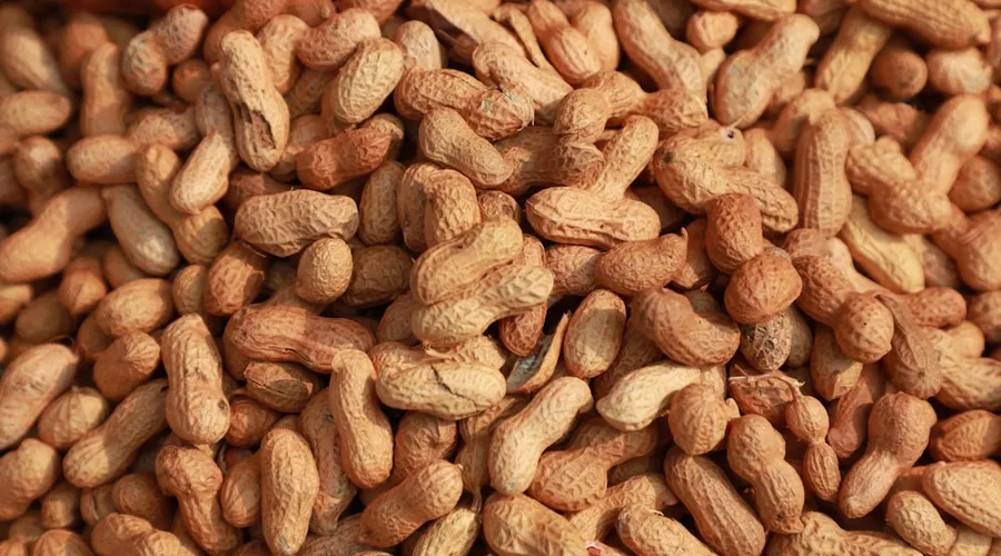 erdnussallergie