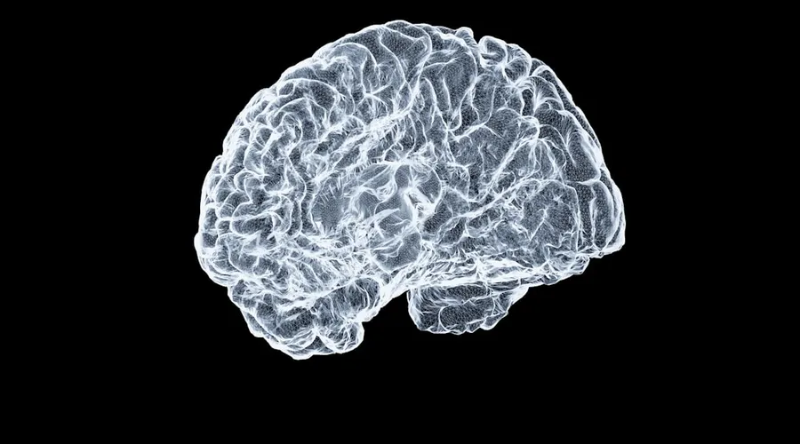 neuromodulation