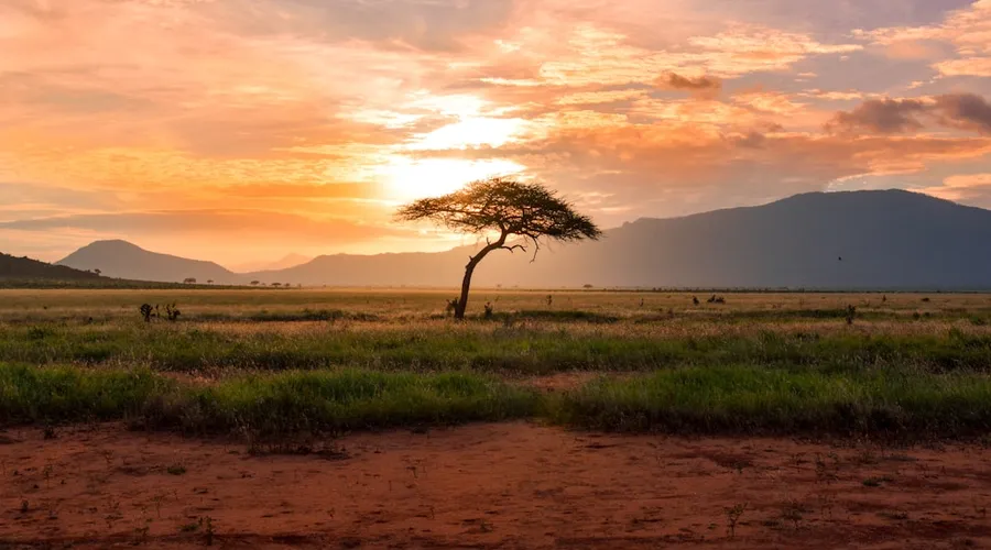 afrika