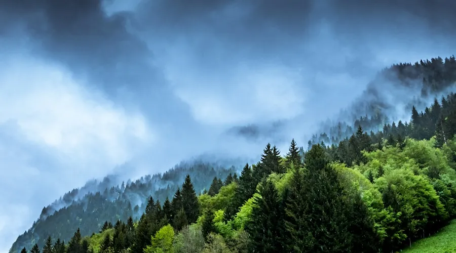 climate