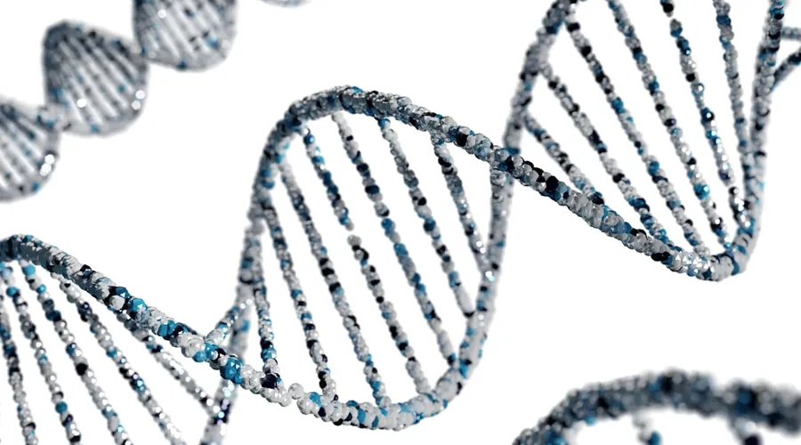 synthetische biologie