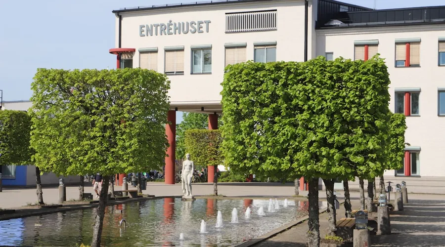 entsalzung