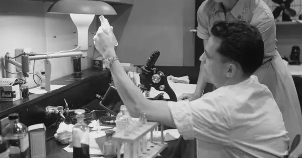 Blutstammzelltransplantation: Leipziger Forscher lösen Nebenwirkungsproblem