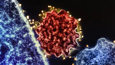 Tumorspritze aktiviert Immunangriff auf Metastasen