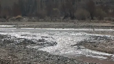 Donau auf Rekordtief: Ungarns AKW erstmals vollständig offline