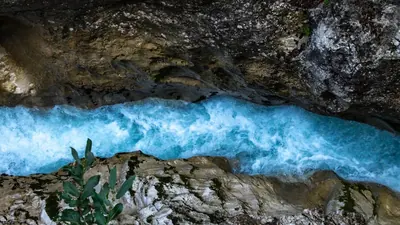 Fünfter Rekord: Europa räumt 603 Dämme aus Flüssen