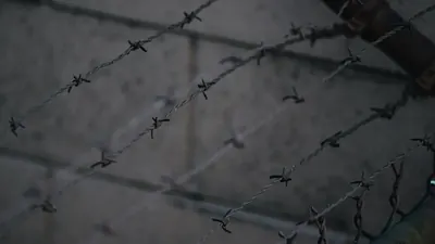 Europol spürt 45 verschleppte Ukrainekinder auf