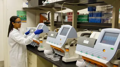 Filspari: Erste Therapie für seltene Nierenerkrankung FSGS