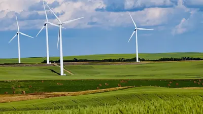 Erstmals 10 Billionen: Grüne Wirtschaft drittgrößte Branche