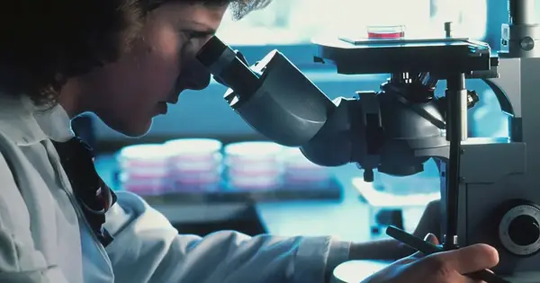 Zwei Antikörper halten HIV ohne tägliche Medikamente in Schach