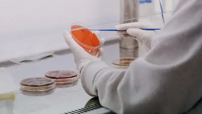 HIV-Impfstoff: mRNA-Trimere erzeugen 80 Prozent Antikörper
