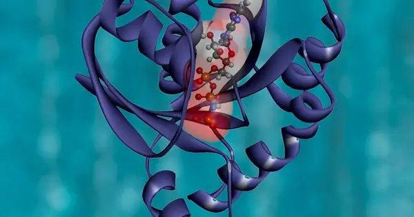 Neue Zelltherapie aus Frankfurt verhindert Leukämie-Rückfall