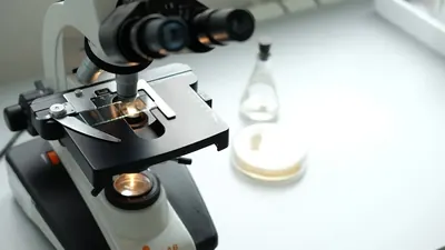 mRNA-Impfstoff: 80 Prozent gegen HIV immunisiert