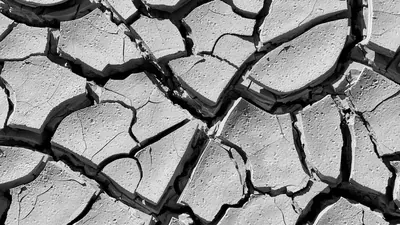 Niedrigwasser: Fahrverbot gelockert, Wirkung zweifelhaft