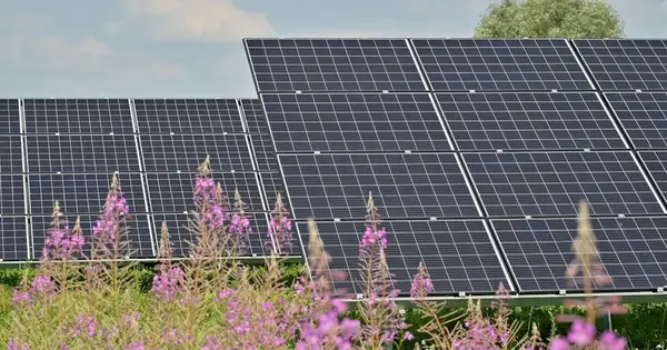 Weltrekord: 510 Gigawatt neuer Solar in einem Jahr