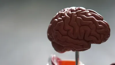 Natürliches Peptid ohne Ozempic-Nebenwirkungen entdeckt