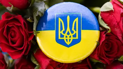 Selenskyj bietet Putin Direktgespräche an