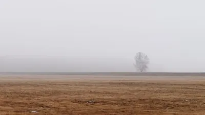 Angst vor zweiter Front: Ukraine evakuiert den Norden