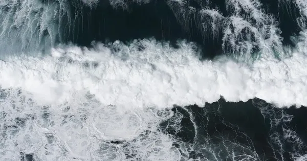 Globaler Ozeanvertrag tritt in Kraft: Schutz für zwei Drittel der Meere